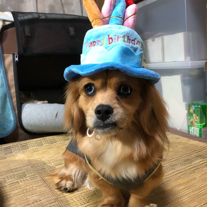 72818bc9 42a8 4add b1d1 b47555241b63 1519729630599