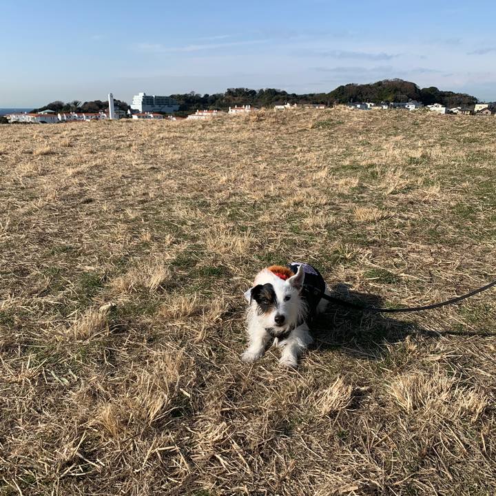 72818e36 35f8 44c7 8dbf 27a803c9f12d 1674781364443