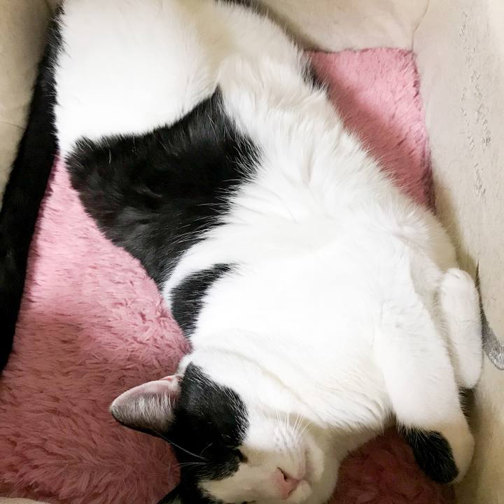 7281aa7c 4e49 45bb 9cf4 4c63407a3739 1516583396676