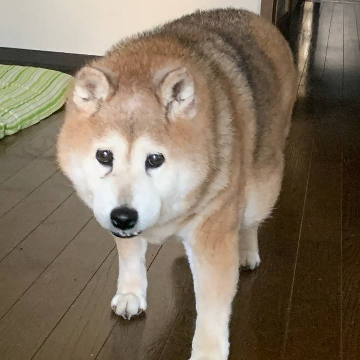 7281c803 dceb 4ba9 ac31 88e65748b69a 1650841450008