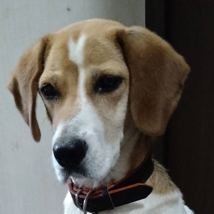 72821f64 914b 406f af85 044e4a54ce2b 1625312660235