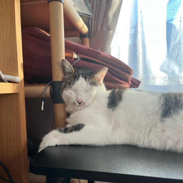 7282278d 263b 4e2f 8fc2 9969c6e20a05 1726530123235