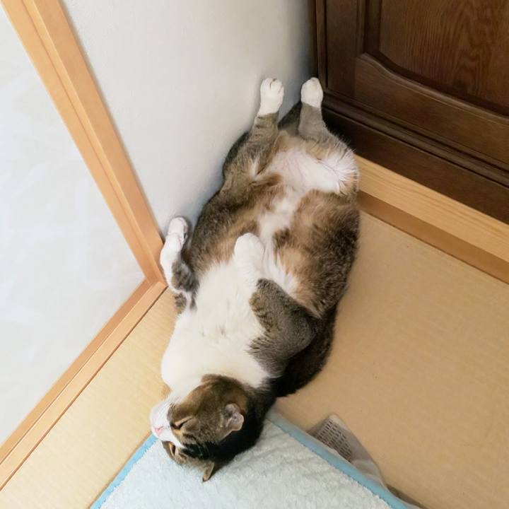 7282293a e9c3 4438 9bf4 1c324c59a4a0 1750424447912