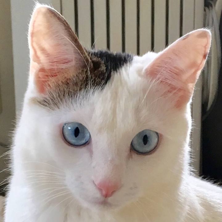 728238a3 ea1b 46a4 85c4 8726fcf6ca2c 1557530577195