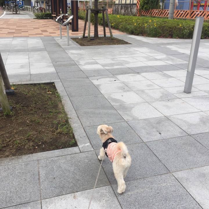 7282589e 3e1f 4dc6 a0ef 12f48e7f5b95 1536496414190