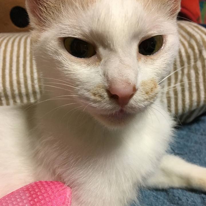 728261bc a733 46b5 8bb7 d80d918d5d6b 1537183899319