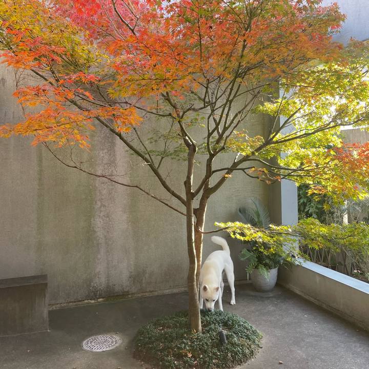 72827f66 e05c 41ae 988c 58280d08cbab 1637231535006