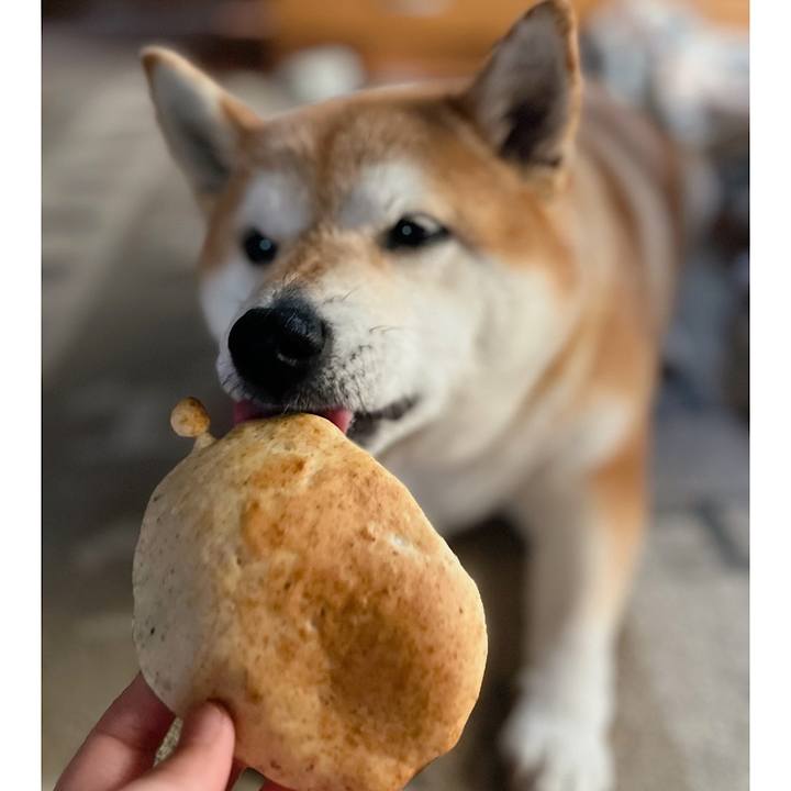 72828552 5cc1 400f 9d4f 09b0dbb0afc5 1682491856675