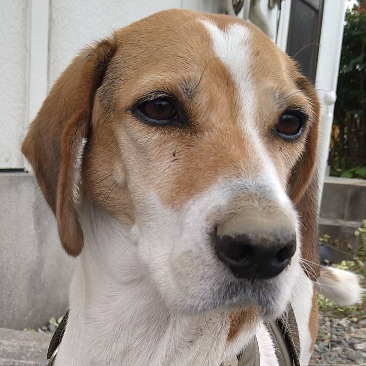 7282a719 ecd5 41b6 b90a ca72a516046f 1669113049593