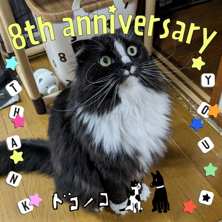 7282a75c bf8d 40fa b0ee 885c2288990e 1717759670742