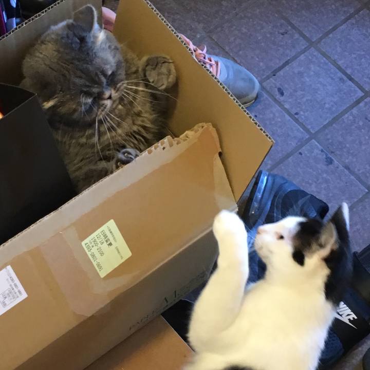 7282aa9c befe 4725 b5b8 ca1559a55697 1545329598092