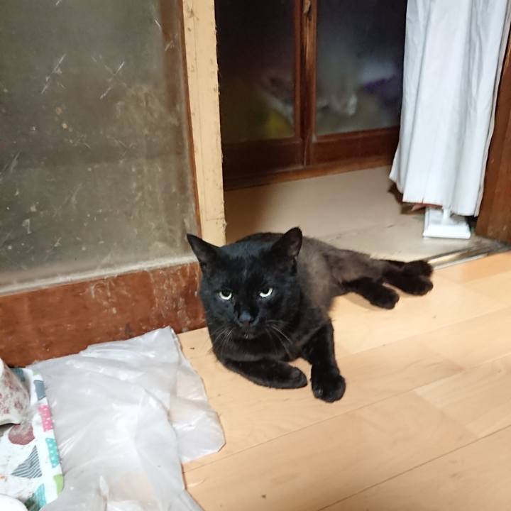 7282af3d 4059 4a59 b11b 494d64d5e18d 1626527581679