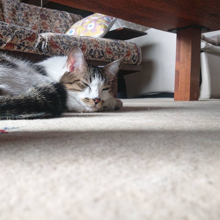 72831dde 66a6 430d 8196 c679e8f210e5 1670131736078