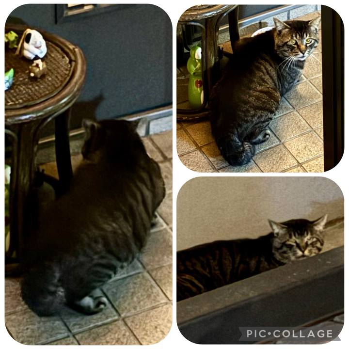 72832b37 396e 4e9e 9006 0ba1c9a6463c 1774688427855