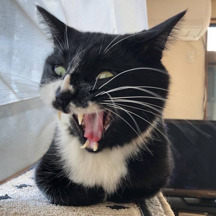 72835712 e84f 4a8c 955f b727c51f0b8b 1609326902150