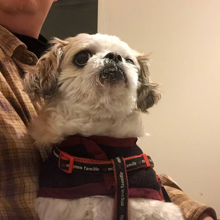 72839a01 34ea 4e42 a3d5 634adcb3a9b7 1571953998042