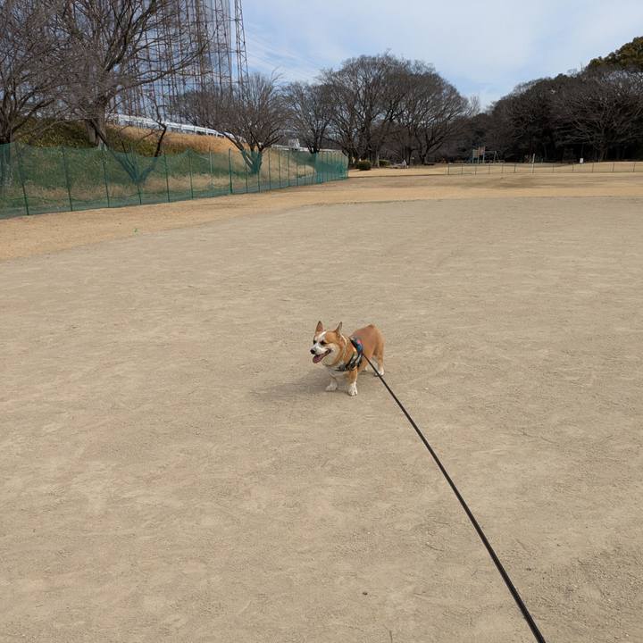 7283b168 eeb1 48b4 a655 8f266a19e378 1740551603857