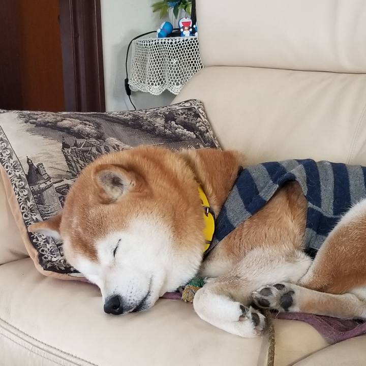 7283da19 d1dd 4978 85e8 749d43b4ff43 1674688912189