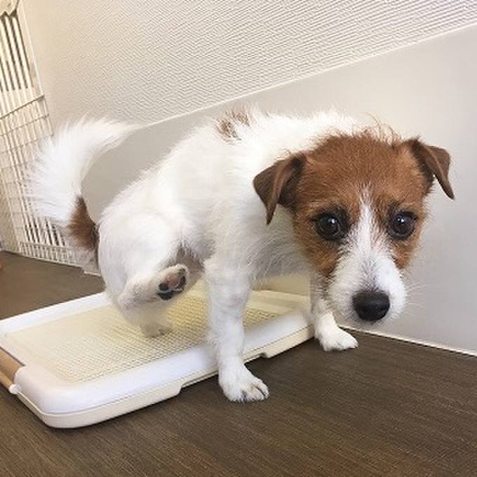 7284032f a04b 4b80 b36c 06b3152641dc 1515329754732