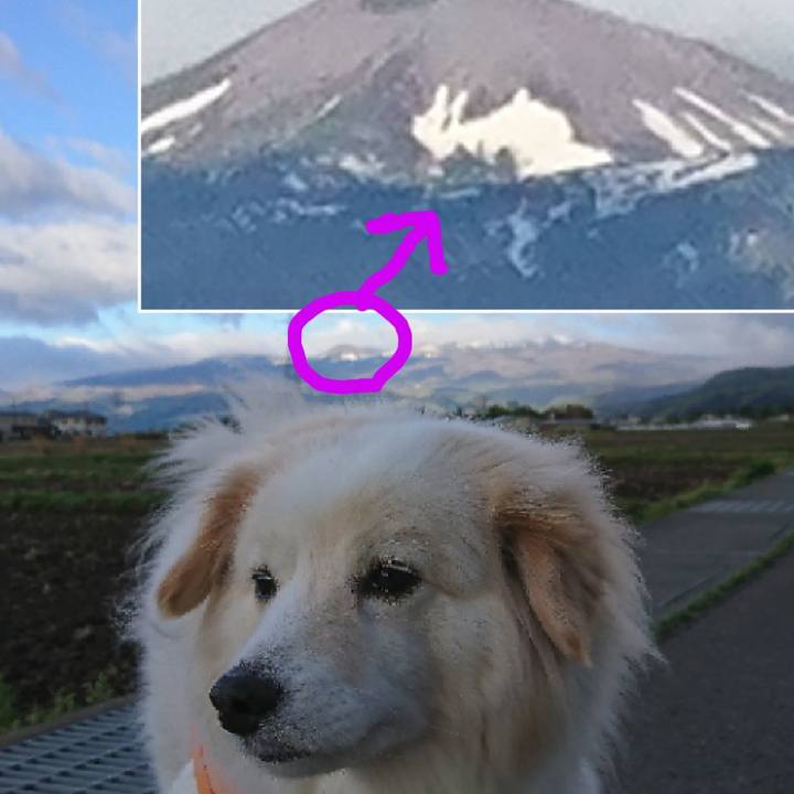 72840727 628f 4f14 9555 28d5da1f856b 1524694055338