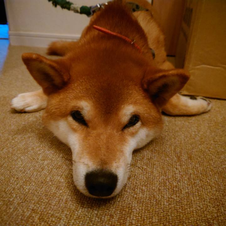 7284367c 2053 4f3f 9e0f 9f08c6f8e4d5 1764199389496