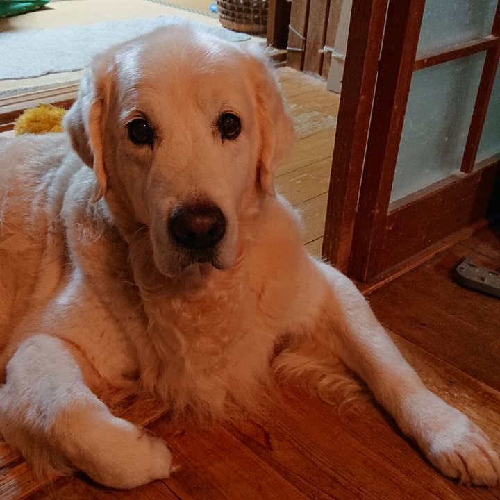 7284bff1 bfc2 41d7 bdfc 42c8708c21a4 1571392160153