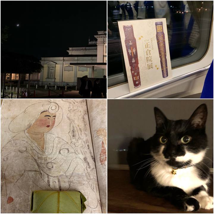 7284d5e7 2753 48d6 bdee 91c06d588400 1572698435341