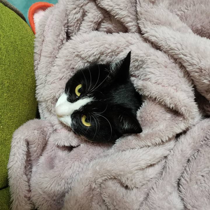 72850366 788b 4cbc a22d bdefc108e01b 1703569330503