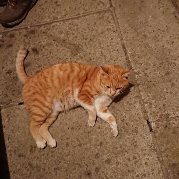 72852372 12f4 470d 8872 1715c2d3169b 1580288169065