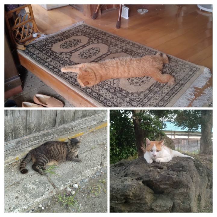 728526f9 bd6a 41e4 9b3f 958e51dcc447 1751449412724