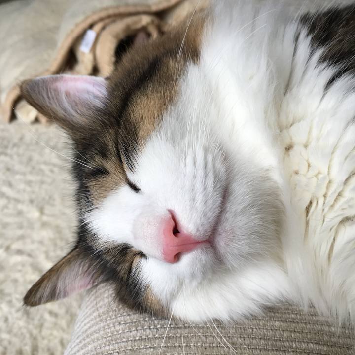 728552c6 928a 4d07 978d cfc1a7f4e9a1 1507854619374