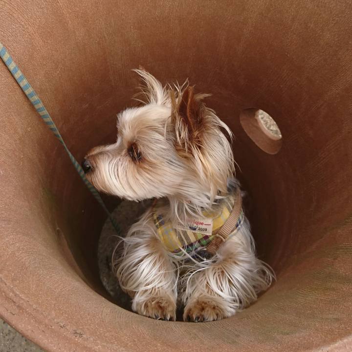 7285fade ea47 45f9 bf38 cd9aaee78480 1523658901097