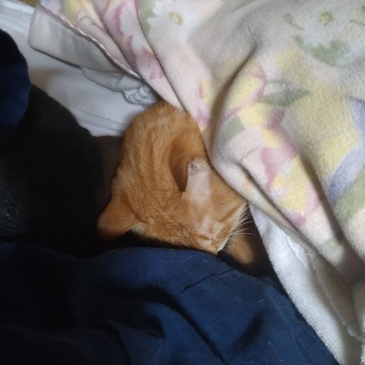 72862b67 203a 487a ac17 c35a80354c06 1678191441091