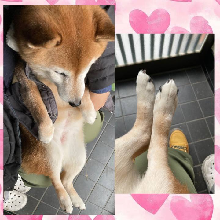 7286770b a1dd 4d86 920e 8d9ae4c17845 1738542181369