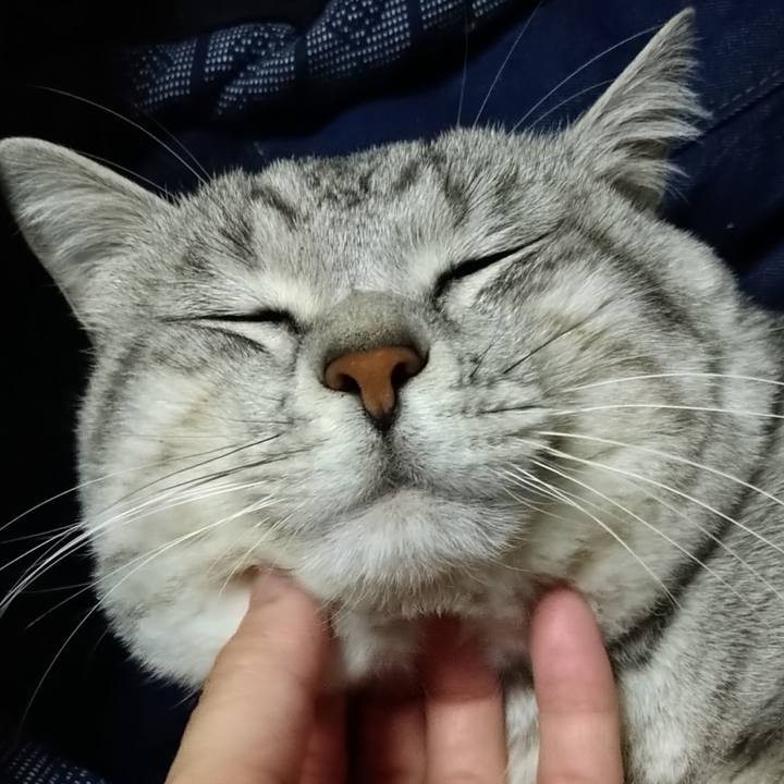 728689a8 e01e 47de b77c 08c1cb1e5c42 1645711548451