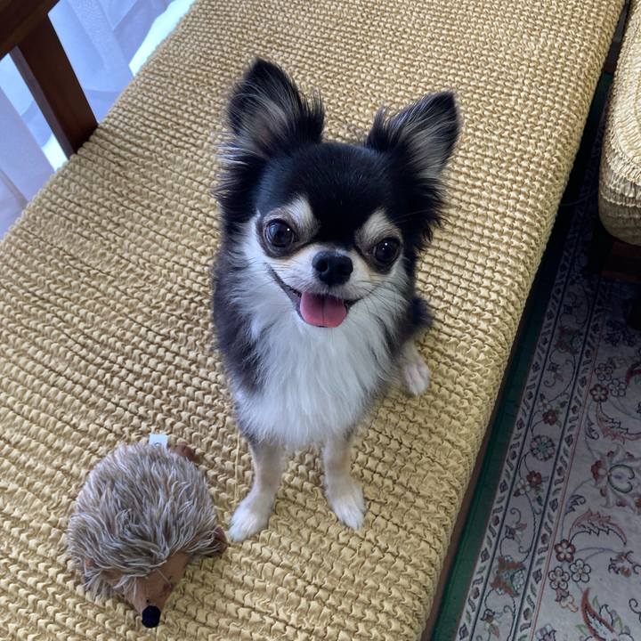 728718ed 7ff1 4aee a5f3 82c57e07d6ed 1658067959182