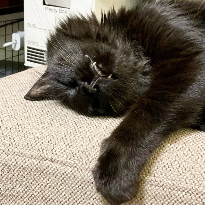 728718f0 d240 4cb3 a85d 7ae86d90b092 1751976899305