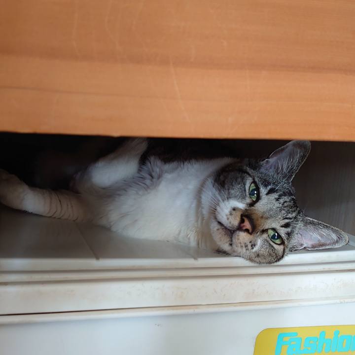 72877136 b10b 4f84 8786 3021adeb4a52 1711758459451