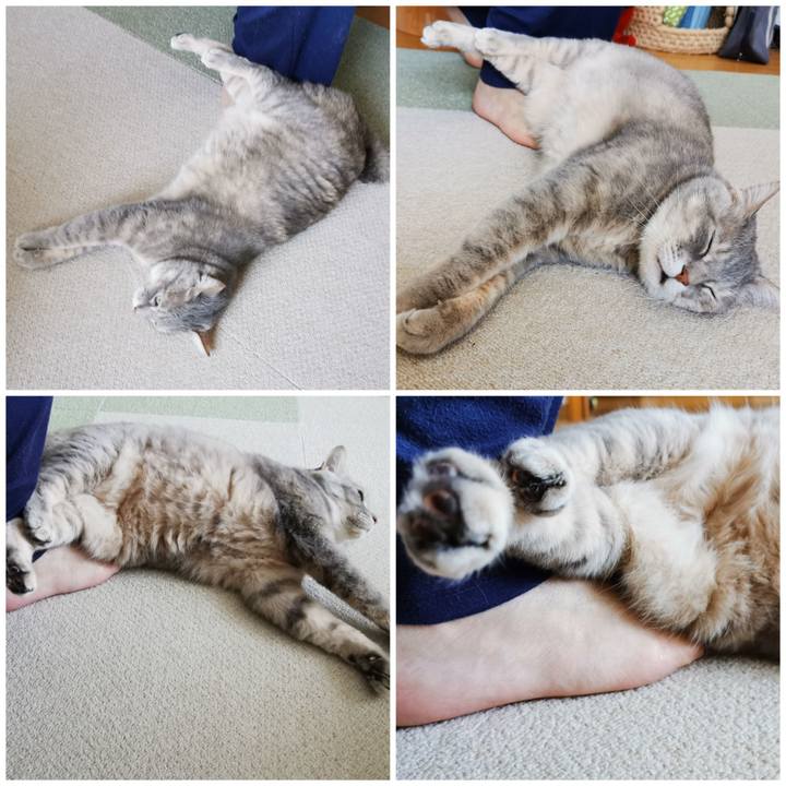 728799ab 4932 4e03 8a4b 7132fab6d44b 1650208398251