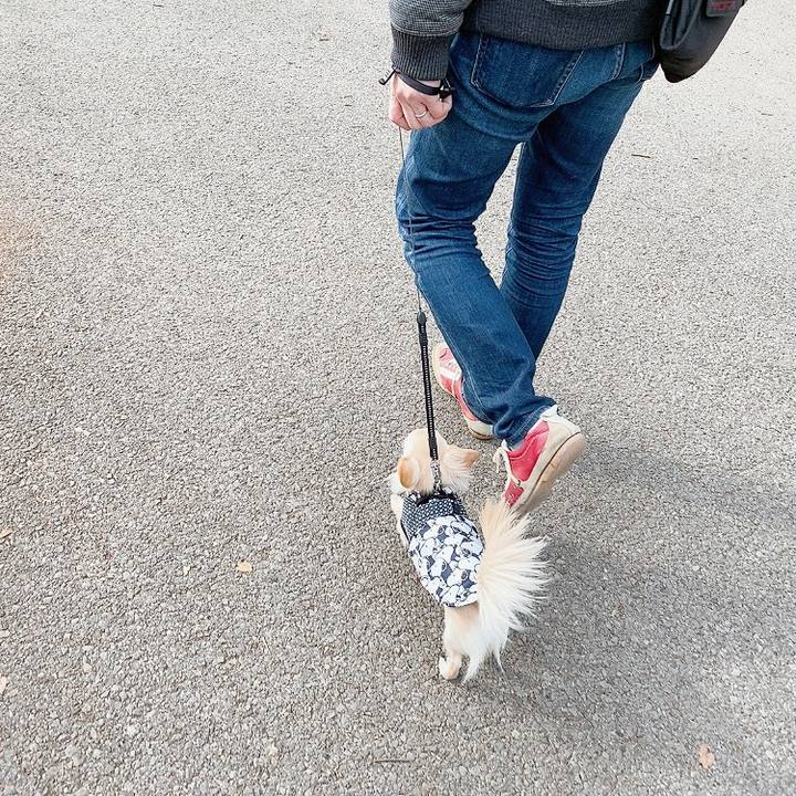 7287a3f7 d53d 44a1 94b4 bd6785954194 1610422412741