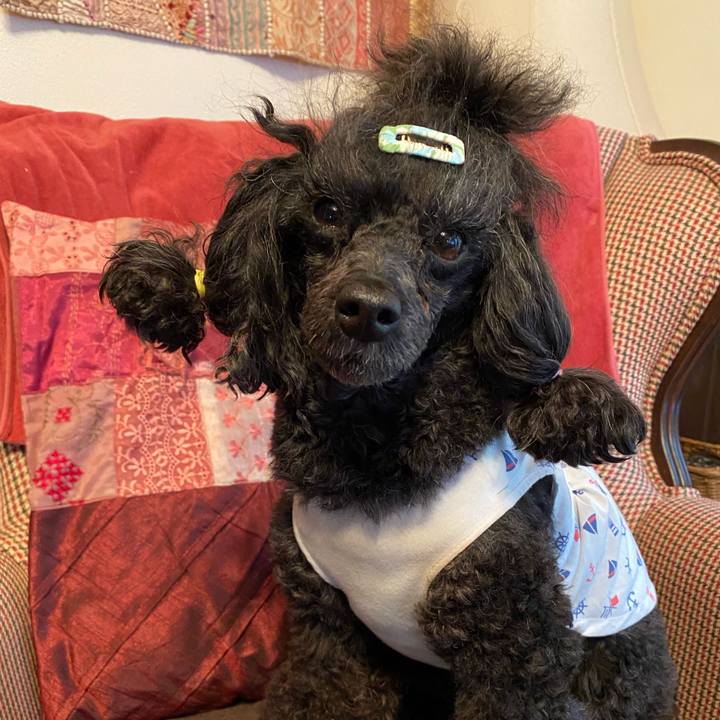 7287ccf0 b1a5 4d74 a6de e81510cfb33a 1653263233765