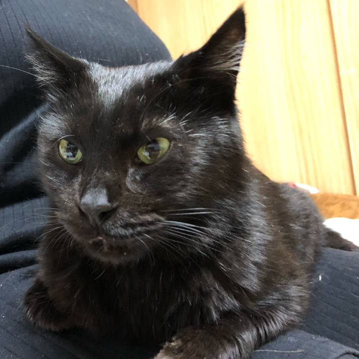 7287cd96 74f4 449f aef3 041bf8a7d569 1587728742163