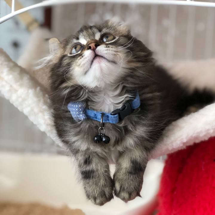 72883166 8dfd 4051 b668 5118ff549d4d 1553828308233