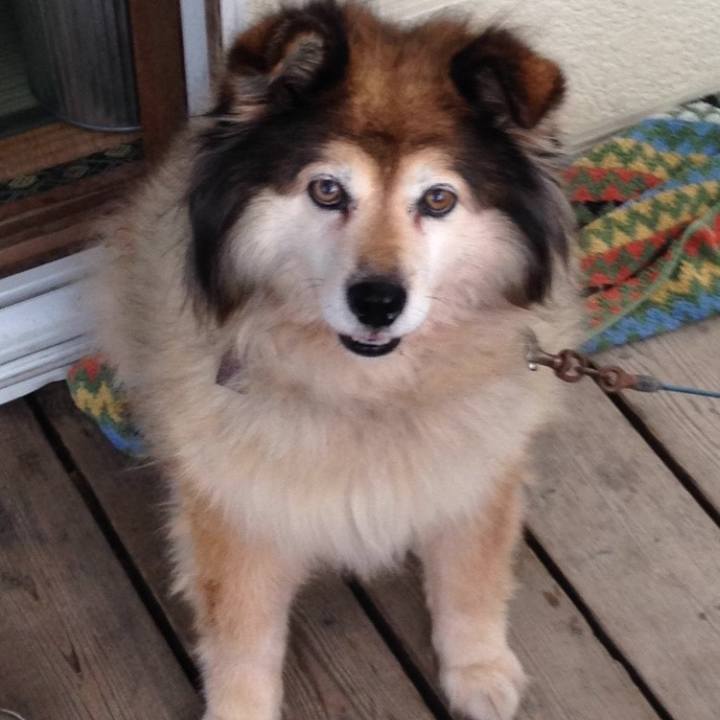 72885c37 084e 4fad a46e 82044e79e3bd 1661334140504