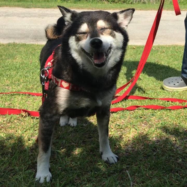 72888e55 4a58 4fe3 8d35 a1ede04d689a 1630459808983