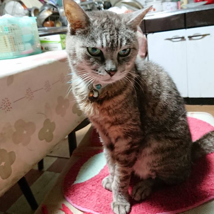 7288a0e4 7c8f 4e55 9907 7622ad6a6039 1566763431677