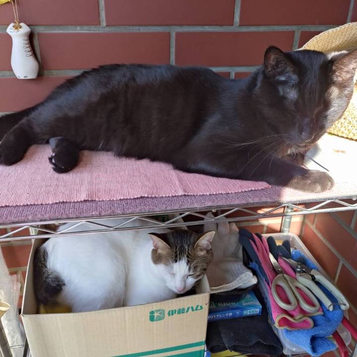 7288e901 3936 4596 84e9 6cb27bb58089 1727071960466