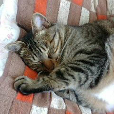 7288ed30 2f2d 4b3c 9bba 4ea7764fbdbc 1583750658057