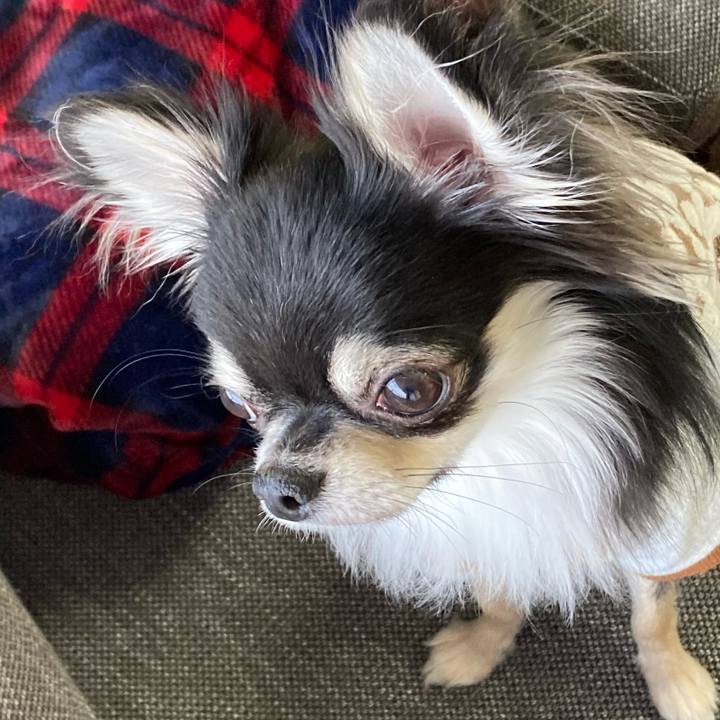 7288ffeb 67af 4885 a8f4 b79e22fc6a6b 1610322628309