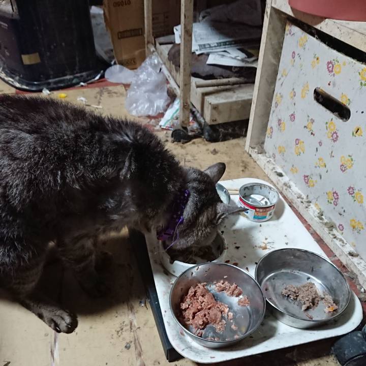 7289024e 7545 478c a3dc 80654059db06 1596228337209